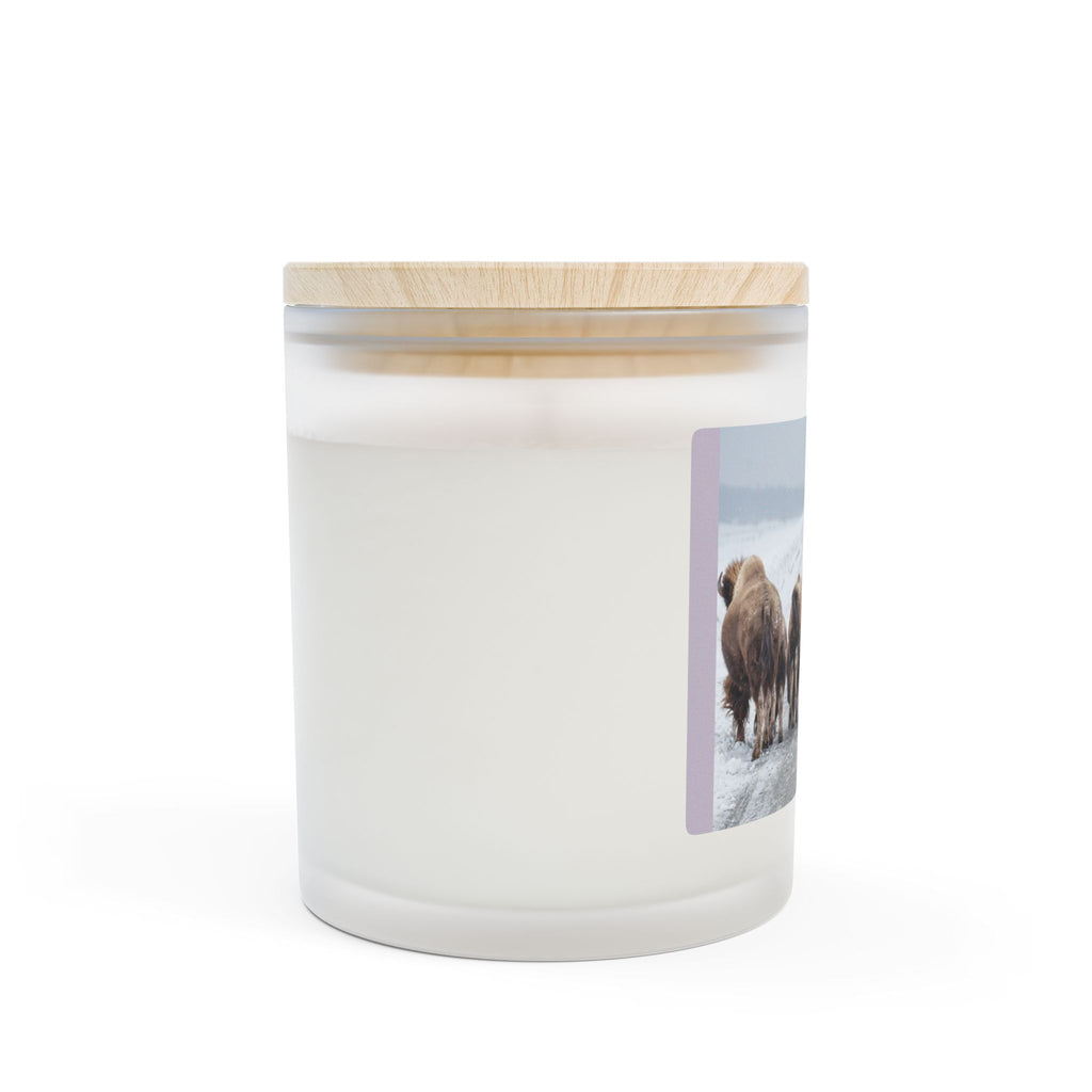 Bison Herd Frosted Glass Candle — 11oz Rustic Winter Cabin Scented Candle